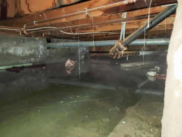 Best Commercial water damage restoration  in Glenmoor, OH