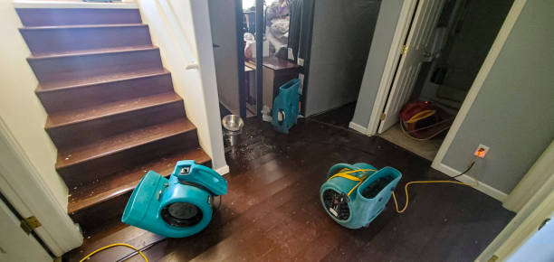 Best Local water damage restoration  in Glenmoor, OH