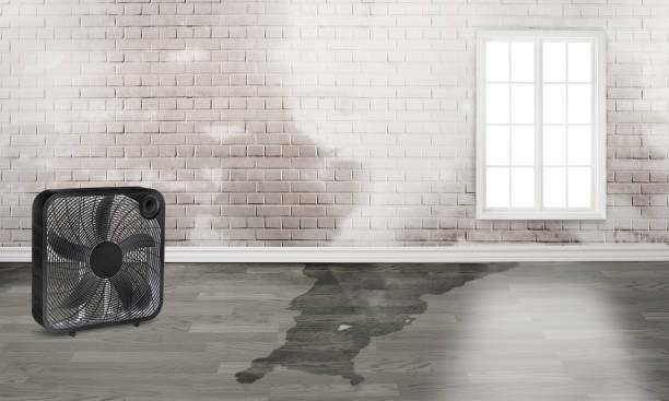 Best 24-hour water damage restoration  in Glenmoor, OH