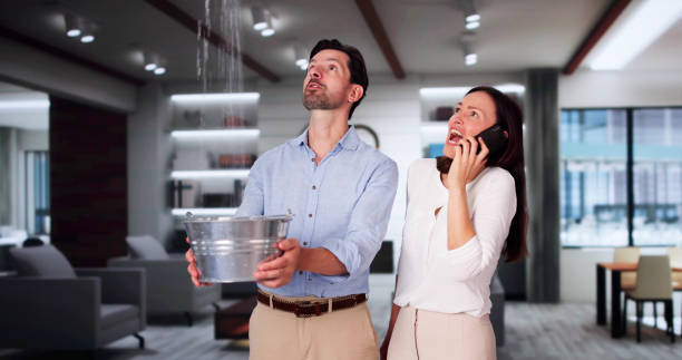 Best Water damage contractors near me  in Glenmoor, OH
